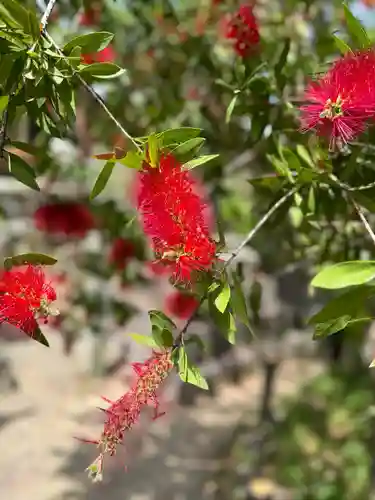 松尾大社(京都府)