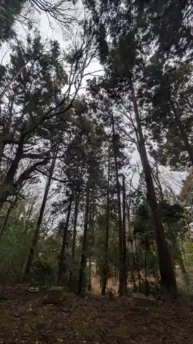 子ノ神社(東京都)