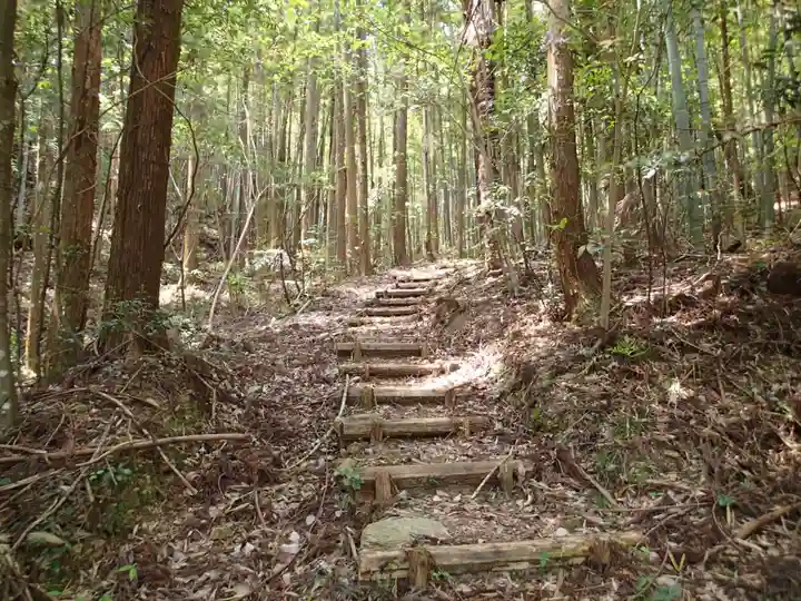 上一宮大粟神社の自然