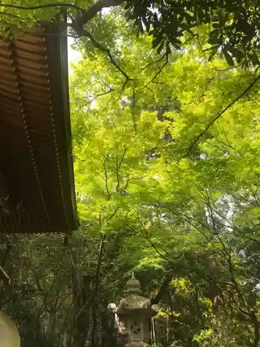 大正寺の庭園