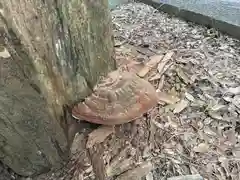 三島神社(愛媛県)