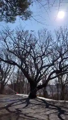 相馬神社(北海道)