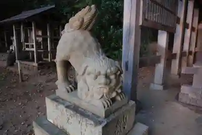 新井崎神社の狛犬