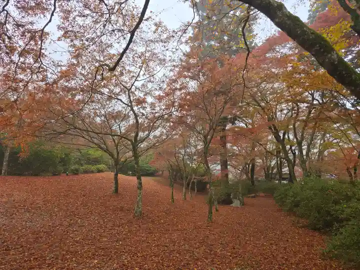 高源寺(兵庫県)