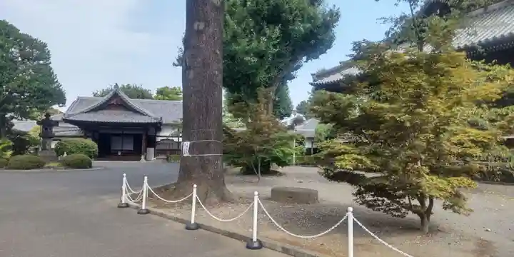 寛永寺(根本中堂)(東京都)