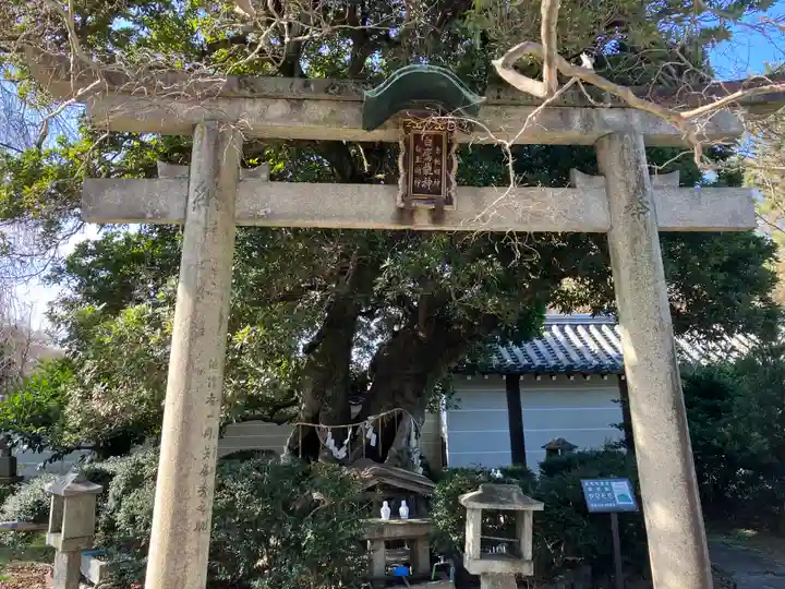 養源院(京都府)