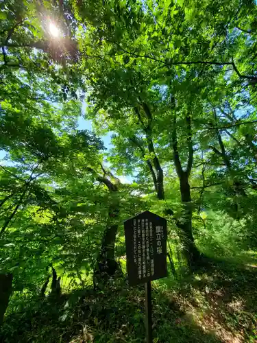 白河神社の自然