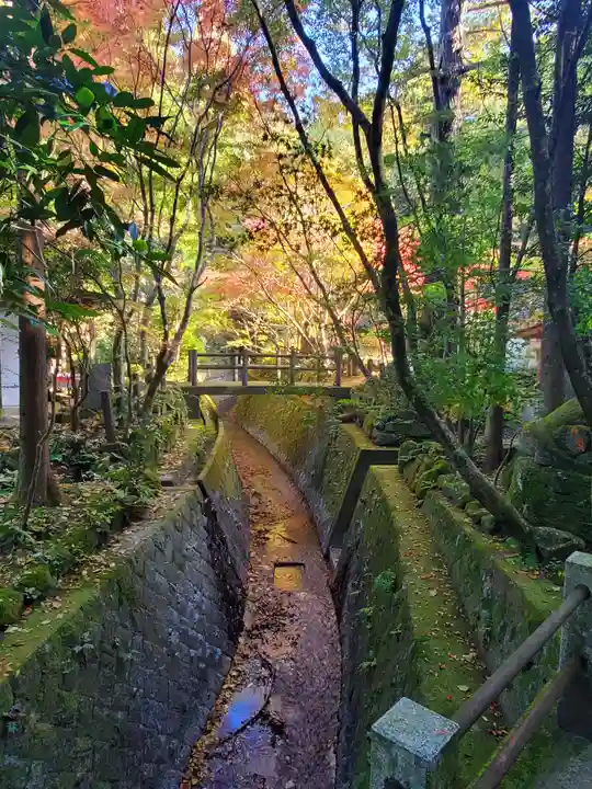 五所駒瀧神社(茨城県)