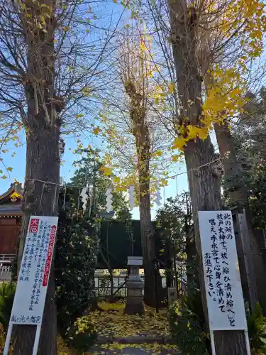 亀ケ池八幡宮(神奈川県)