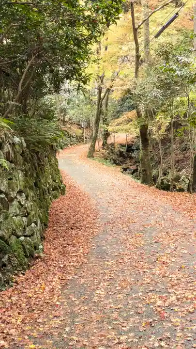 蓮成院(京都府)