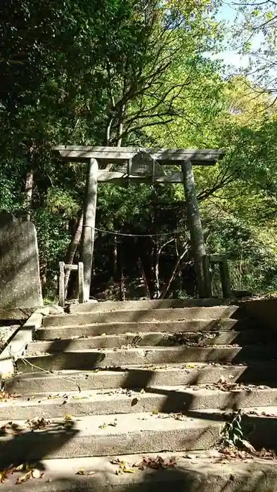 五十鈴神社の鳥居