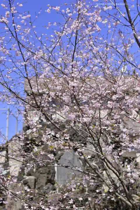 千住神社(東京都)