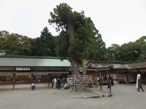 石清水八幡宮のその他建物