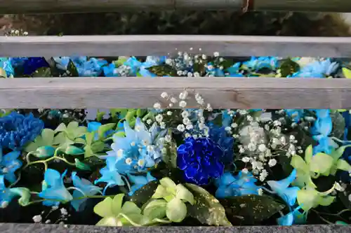 豊景神社の手水舎