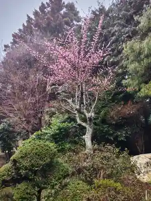 鹿島大神宮(福島県)