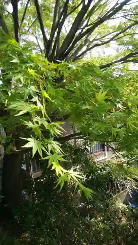 橋寺 放生院の自然