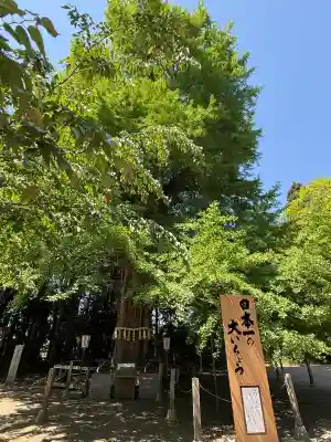 水戸八幡宮(茨城県)