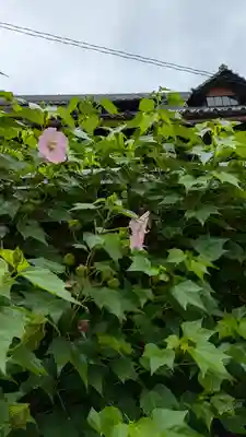 本法寺(京都府)