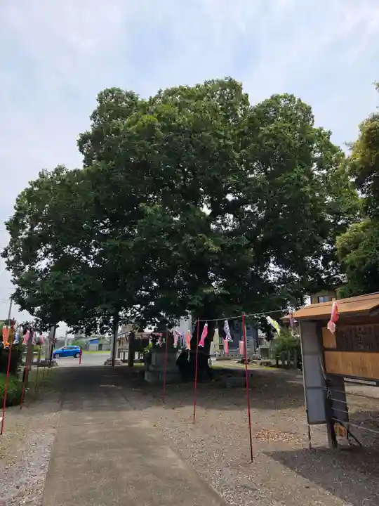 島田八坂神社(栃木県)