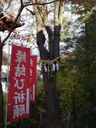 差出磯大嶽山神社 仕事と健康と厄よけの神さまの自然