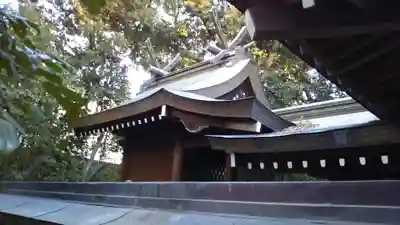 熊野神社の本殿・本堂