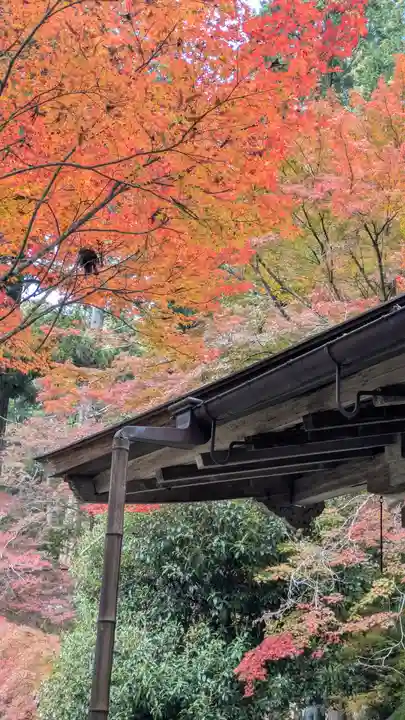 高山寺(京都府)