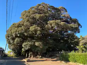 三社神社(千葉県)