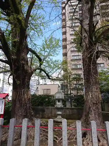 久留米宗社　日吉神社の建物その他