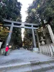 北口本宮冨士浅間神社の鳥居