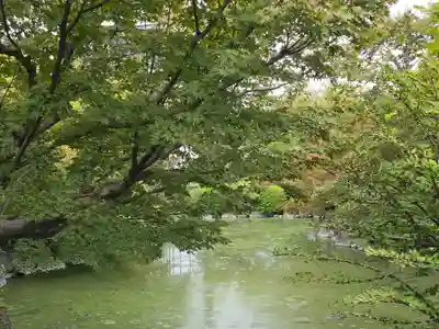 東寺（教王護国寺）(京都府)