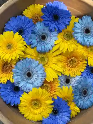 彌都加伎神社の手水舎