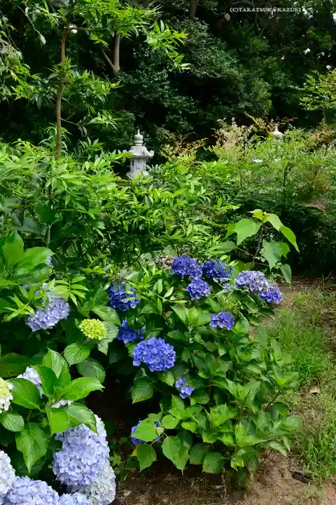 鎌数伊勢大神宮(千葉県)