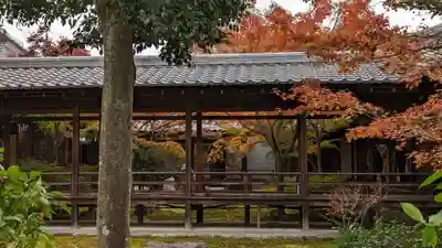 建仁寺（建仁禅寺）(京都府)