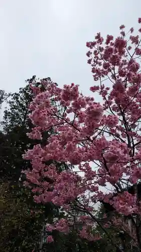 大歳神社(京都府)