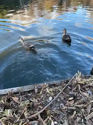 乃木神社(栃木県)
