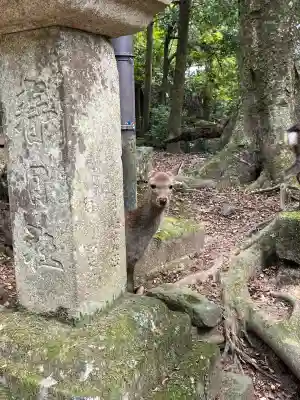 春日大社(奈良県)