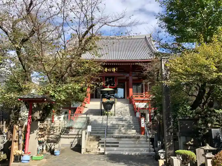 浄心寺の本殿・本堂