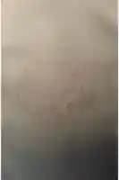 淡島神社の御朱印