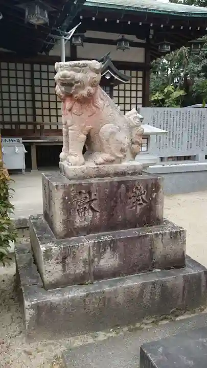 素盞嗚尊神社(江坂神社)の狛犬