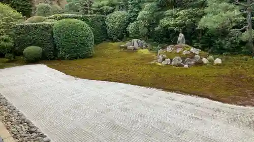 芬陀院の{uncategorized: "未分類", other: "その他", undefined: "問題あり", building: "その他建物", grave: "お墓", sacred_gate: "鳥居", guardian: "狛犬", statue: "像", buddha: "仏像", history: "歴史", nature: "自然", garden: "庭園", animal: "動物", pagoda: "塔", temizu: "手水舎", mountain_gate: "山門・神門", sanctuary: "本殿・本堂", subordinate: "末社・摂社", art: "芸術", scenery: "景色", jizo: "地蔵", ema: "絵馬", goshuin: "御朱印", omikuji: "おみくじ", items: "授与品その他", amulet: "お守り", goshuincho: "御朱印帳", eats: "食事", festival: "お祭り", votive_dance: "神楽", shichigosan: "七五三参", wedding: "結婚式", experience: "体験その他", initially: "初詣", around: "周辺", anti_infection: "感染症対策"}