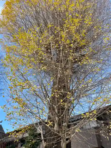 廣源院東福寺(東京都)