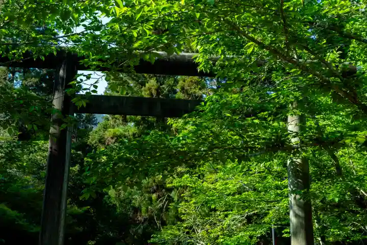 大元神社(厳島神社境外摂社)(広島県)