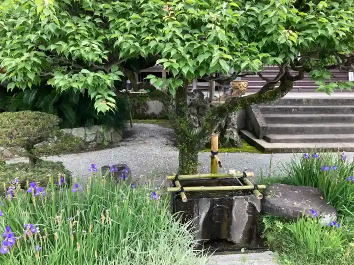 無量寺の手水舎