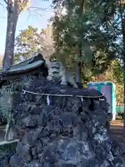 大井氷川神社の狛犬