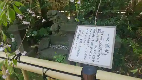 新田神社の狛犬