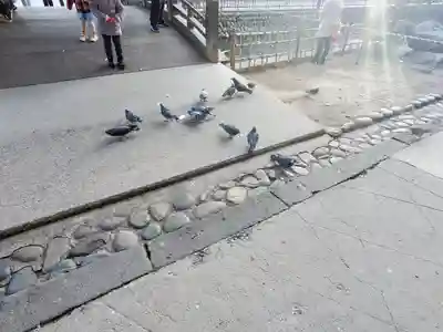 鑁阿寺(栃木県)