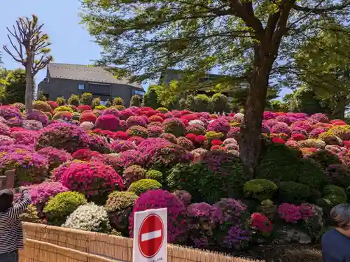 根津神社(東京都)