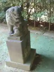 富岡八幡宮の狛犬