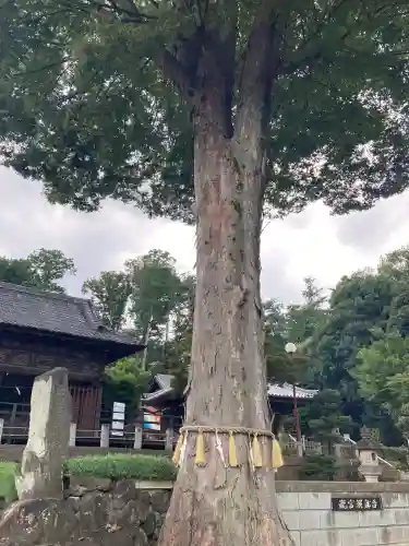 瀧宮神社(埼玉県)