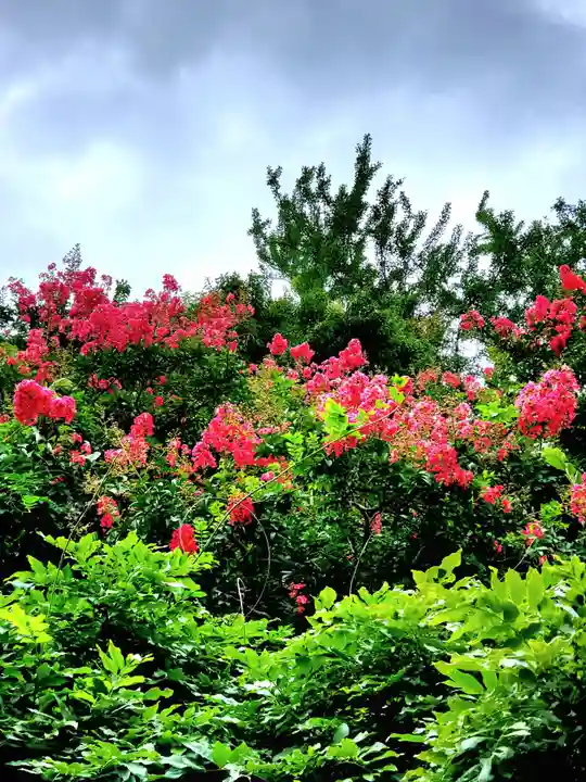 神炊館神社 ⁂奥州須賀川総鎮守⁂(福島県)